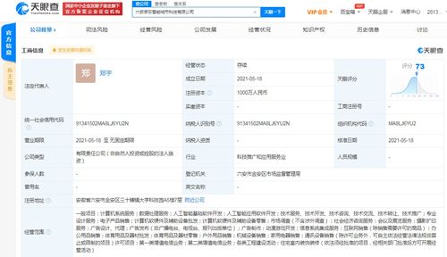 京東云計(jì)算拓展智能城市版圖，新設(shè)科技公司布局動漫游戲開發(fā)與系統(tǒng)集成